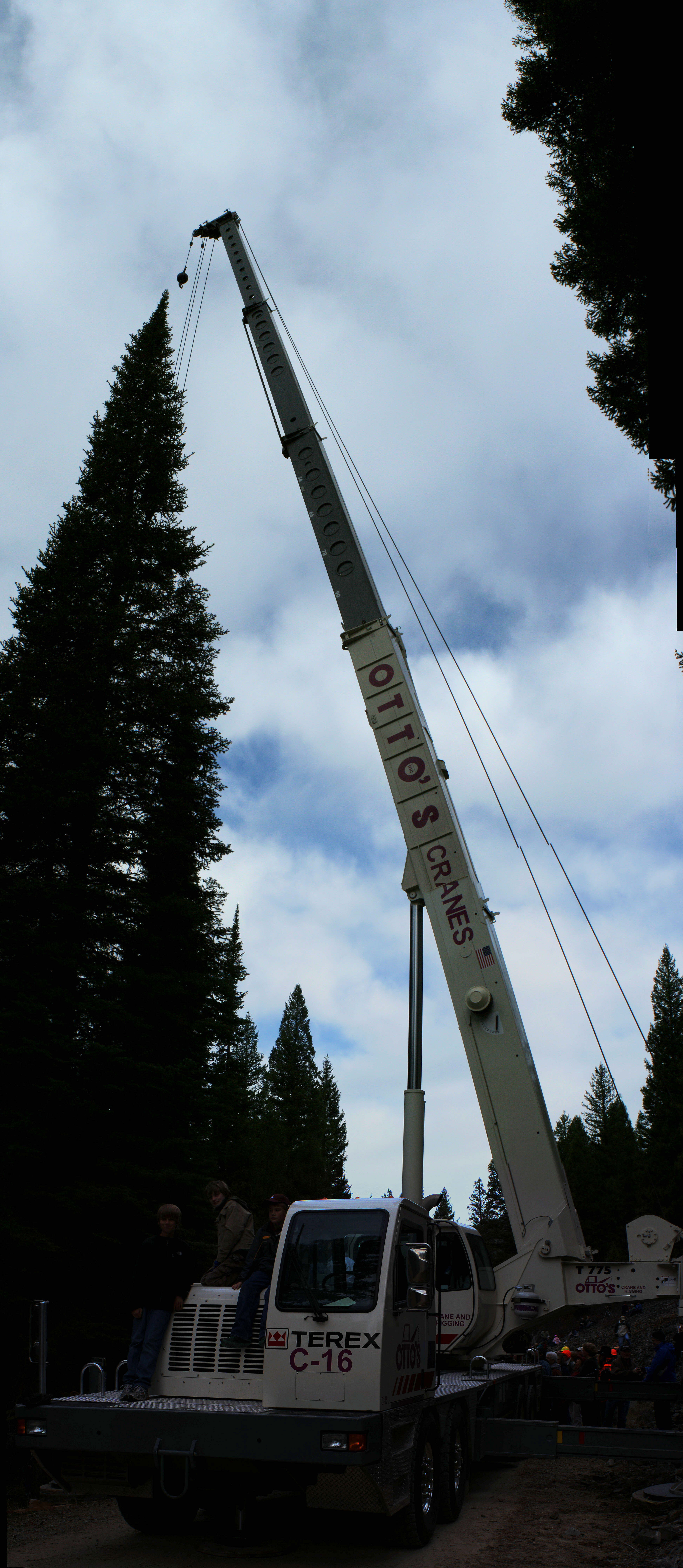 Capital Christmas tree